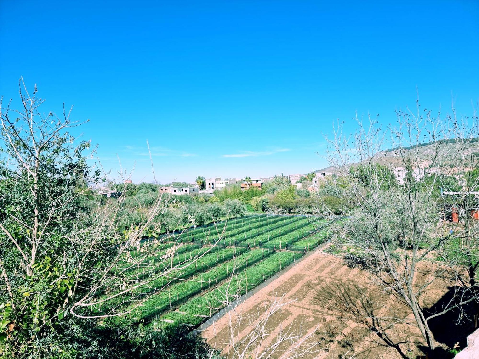 Villa Des Etoiles ウリッカ エクステリア 写真